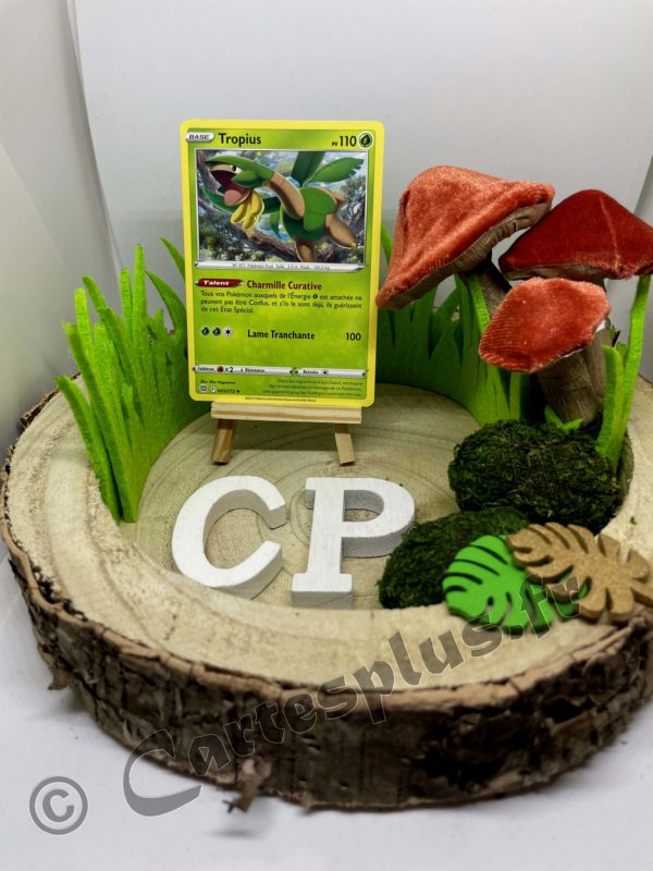 005/172 Tropius