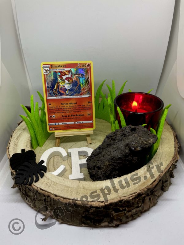 026/172 Simiabraz