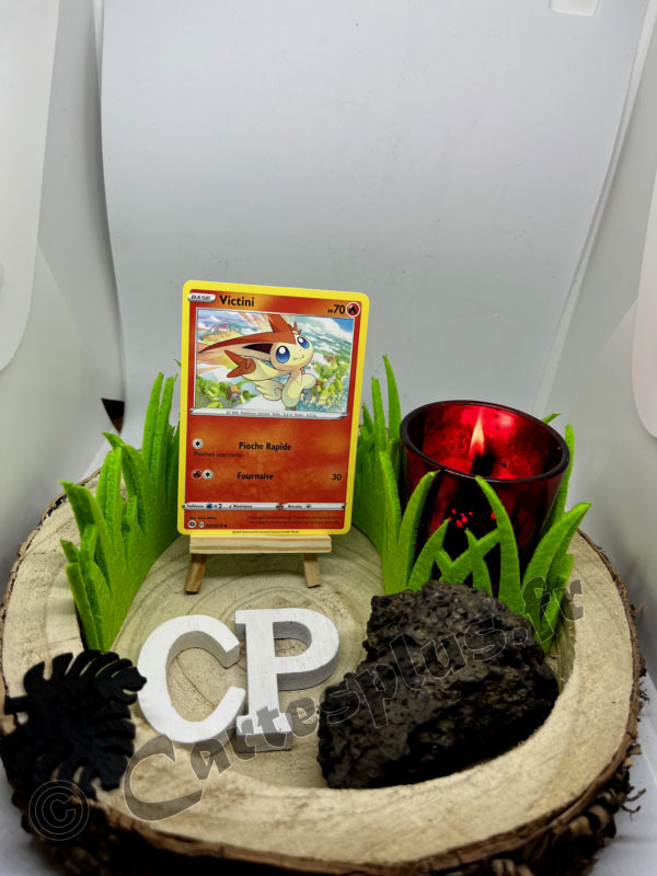 07/73 Victini