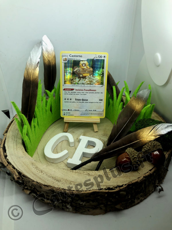121/172 Castorno