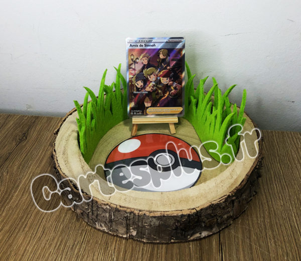 149/159 Amis de Sinnoh