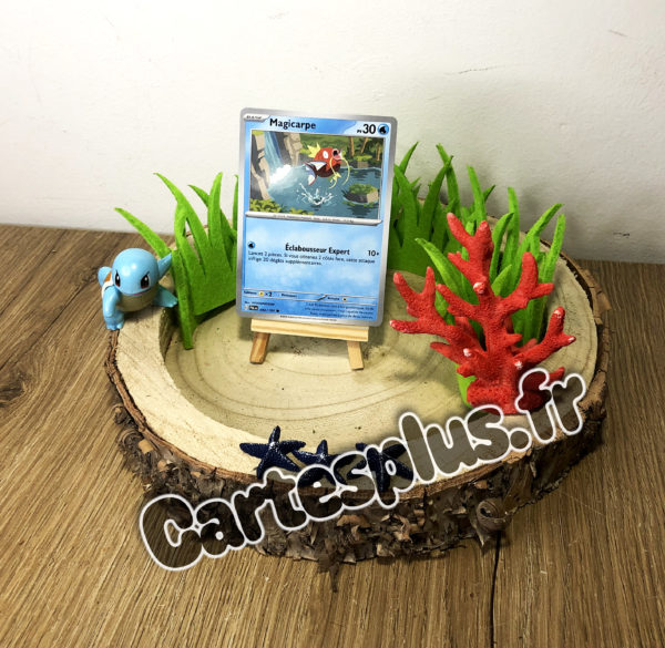 042/193 Magicarpe