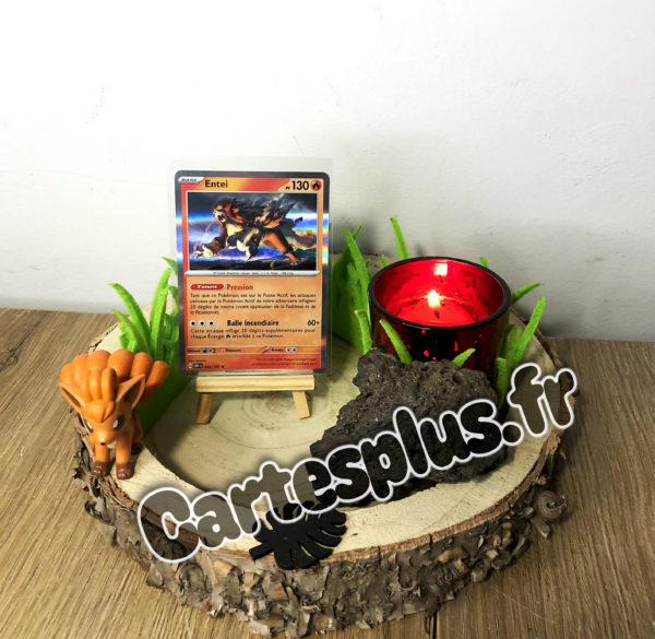 030/197 Entei