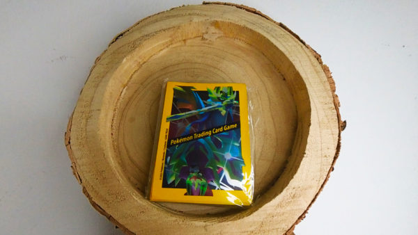 Sleeve Zacian/Zamazenta