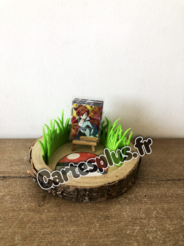 Recherches Professorales-Professeure Keteeleria SWSH152