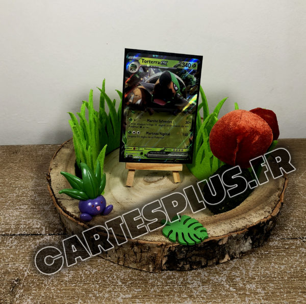 012/162 Torterra EX