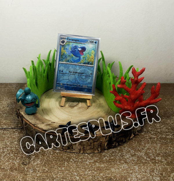 037/142 Carapagos Reverse