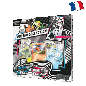 Coffret Poster EV10.5