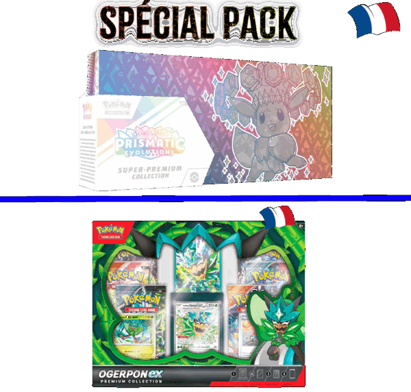 Pack Spécial Super Premium Evoli n°2